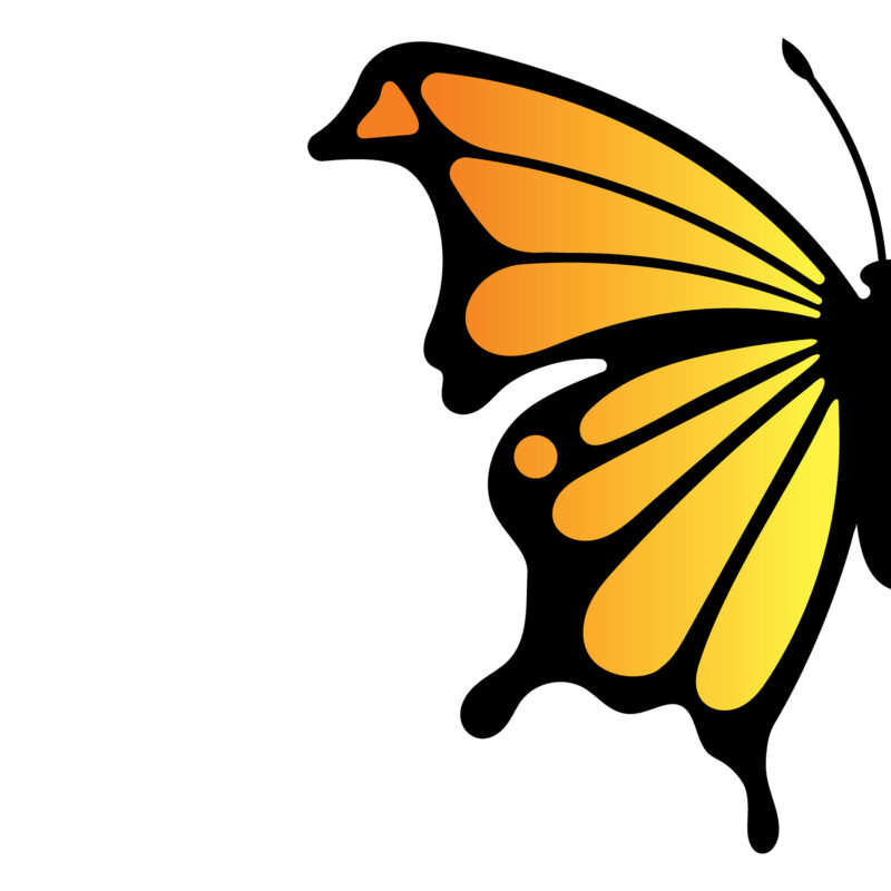 Layered Butterfly svg file - Image 2
