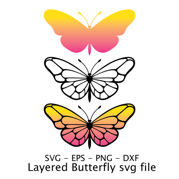 Layered Butterfly svg file.
