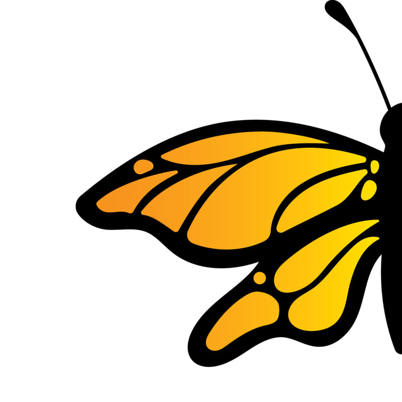 Layered Butterfly svg file. - Image 2