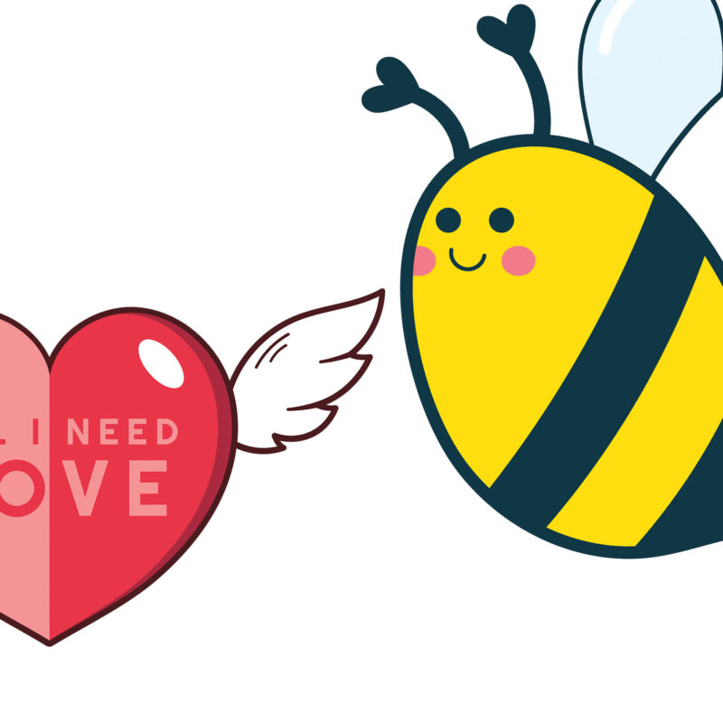 Valentine's Day, Love Heart, Gnome, Bee Mine - Image 3