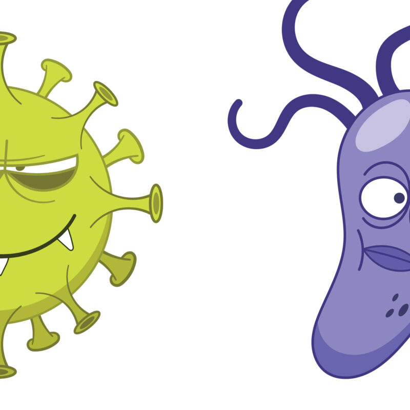 Collection of Cartoon Virus, Bacteria, and Germ Characters with Funny Faces