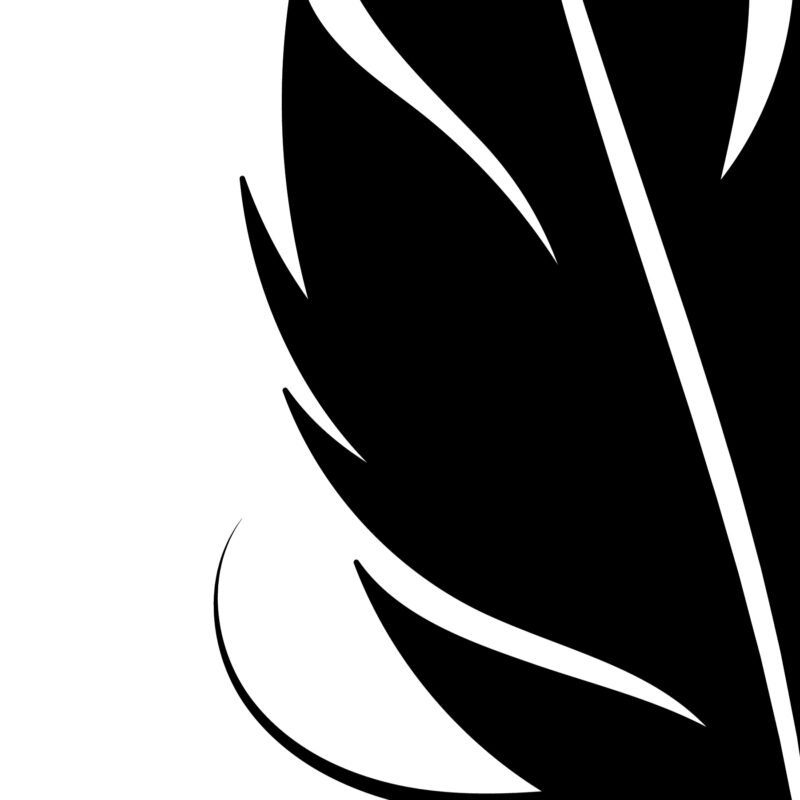 Feather Silhouette Collection - Image 2